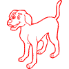 Cane