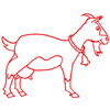 Capra
